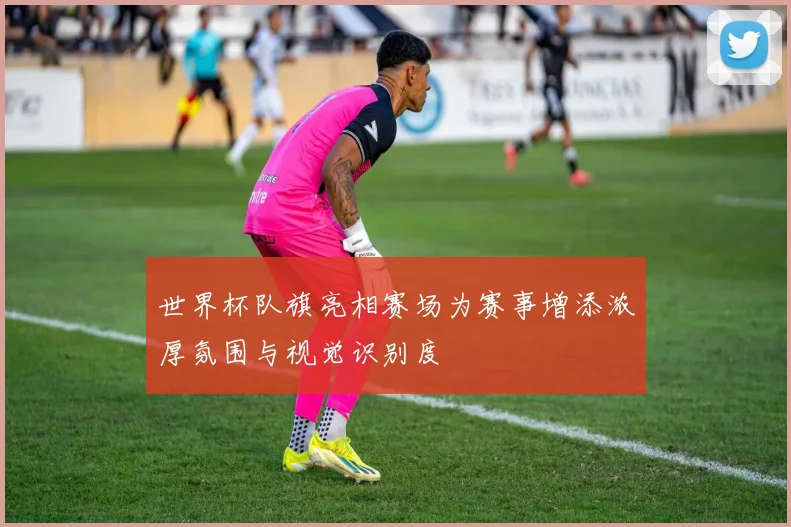 世界杯队旗亮相赛场为赛事增添浓厚氛围与视觉识别度