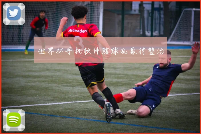 世界杯手机软件赌球乱象待整治