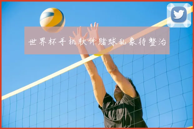 世界杯手机软件赌球乱象待整治
