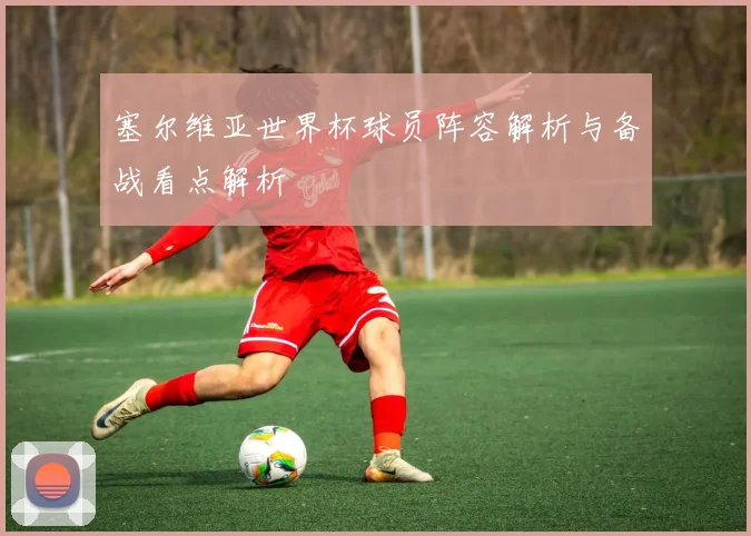 塞尔维亚世界杯球员阵容解析与备战看点解析